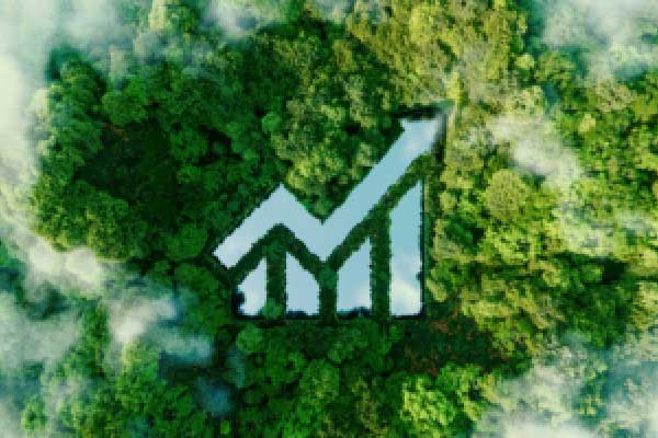 外汇局公布关键数据 外汇储备规模保持基本稳定有基础
